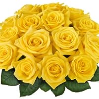Profile Image for Yellow Rose.