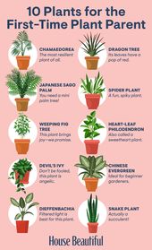 Plants Inspiration