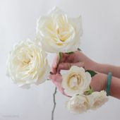 Cream / White Flowers