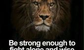 Lion quotes