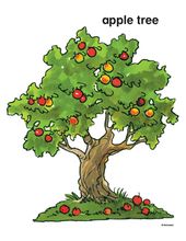 apple tree sketches