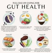 Gut health