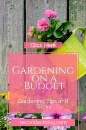 Frugal Gardening