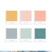 Color schemes colour palettes