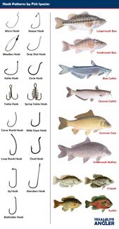 Fishing basics