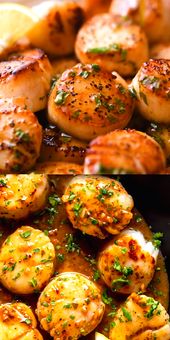 Best seafood recipes