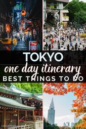 Japan Travel Guides