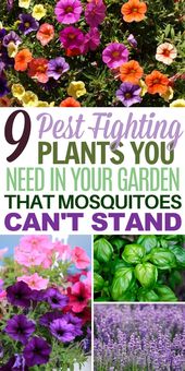 Garden and Yard Ideas From Bloggers We Love