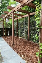 Outdoor / Garden Ideas