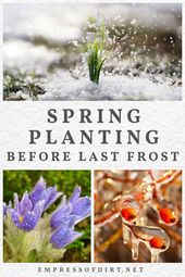 Spring ✿ Summer Garden Tips