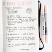 School study tips