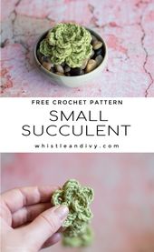 crochet plants