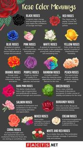 Gardening infographic
