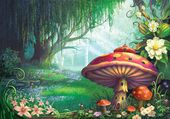 Fairy Forest Storyline