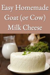Cheese making recipes
