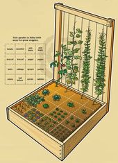 Gardening hacks ideas