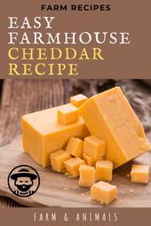 Cheese making recipes