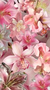 carnations tulips peonies daisies & wild roses