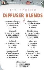 Essential Oils and Natural Air Fresheners
