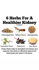 Kidney foods and problems