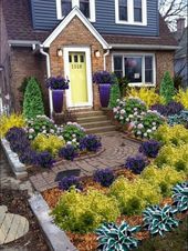 Curb appeal / front yard
