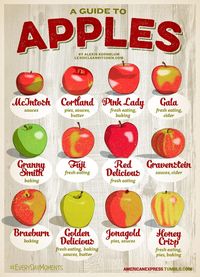There is no better way to get into the fall spirit than cooking with apples. We've got you covered for our best Gluten Free Apple recipes!