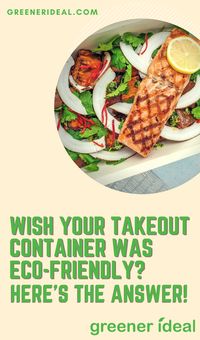 Here are some eco-friendly alternatives to your plastic takeout container.