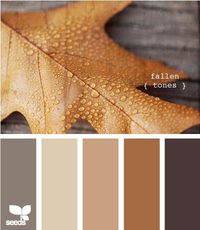 fallen tones - living room colors by susangir...the color s the outside of my house will be, dark brown siding, sand brick and trim, copper tin roof