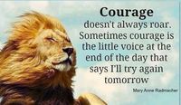 courage doesn't always roar male liion