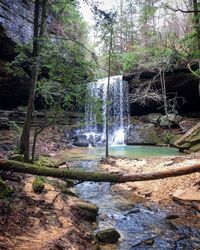 Sougahoagdee Falls - Alabama | AllTrails