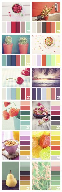 Design_Seeds_Tizas-Hechas-Trizas-color-palete