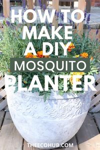 How To Make A DIY Mosquito Repellent Planter - The Eco Hub
