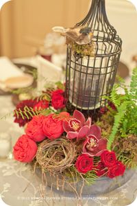 Beautiful detail.  Centrepiece with cage, nests and flowers. Mimosa Flower Studio