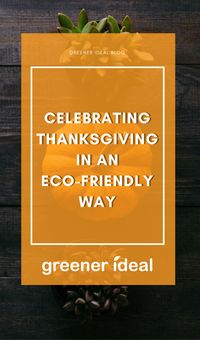 The holidays are a wonderful time of year to celebrate traditions with family and friends, but some of the practices are not especially eco-friendly. You can, however, reduce the carbon footprint of this holiday by creating some of your own traditions that are good for the planet and help the larger community striving to create a sustainable planet.