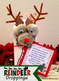 These "Reindeer Droppings" are a fun and creative craft and Christmas gift idea for kids to make and share with their friends.