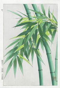 Japanese Woodblock Botanicals Shodo Kawarazaki 1939-1970's