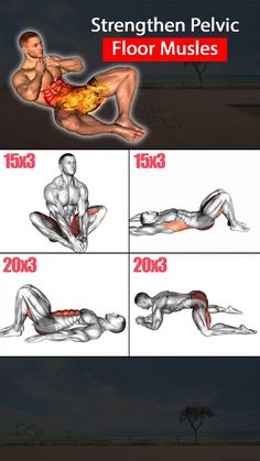 Shoulder Workout, Stomach Workout, Gym Workout Chart, Gym Workout For Beginners, Workout Without Gym, Pelvic Floor, Gym Workout Guide