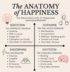 Pyschology, Happy Gut, Evolutionary Biology, Neurotransmitters, Mental Wellness