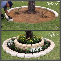 the before and after pictures show how to make a flower bed around a tree