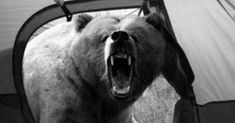 a black and white photo of a bear with it's mouth open in front of a tent