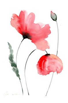watercolor painting of red flowers on white background