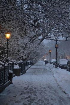 Outdoor, Christmas Aesthetic Wallpaper, Winter Scenery, Snow Scenes, Winter Photography, Winter Scenes, Winter Love
