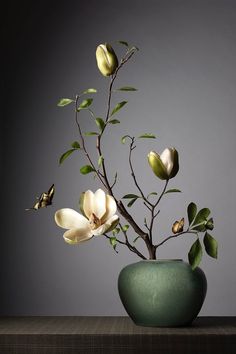 China, Japanese Flowers, Bunga, Ikebana Sogetsu, Daun, Bloemen, Magnolias, Amazing Flowers