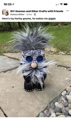 a stuffed animal with sunglasses on top of it's head and some grass in the background