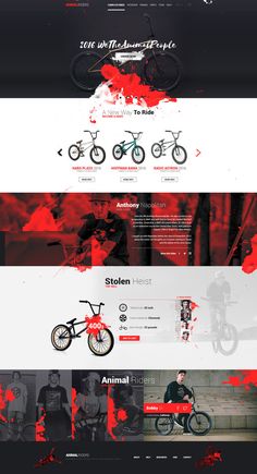 Animal Riders - Web Design by Shizoy Graphic Design, Web Inspiration, Ui Design, Visual Design