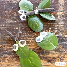 three leaves with googly eyes on them sitting on top of a wooden table next to some branches