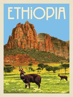 Destinations, Africa, Ethiopia, Ethiopia Travel, Ethiopian, Countries, Tourism Poster, Landlocked Country