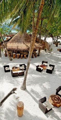 an outdoor seating area on the beach with palm trees