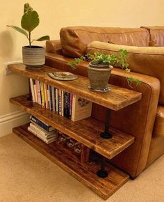 a living room with a couch, book shelf and potted plant on the table
