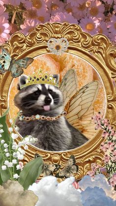 Check out raccoonsoupspoon's Shuffles Croquis, Cute Raccoon, Animaux, Animais, Random, Fotos, Fotografie, Cute Little Animals, Possum